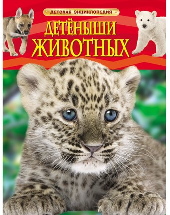Миниатюра фотографии Книга росмэн «детеныши животных» 5+