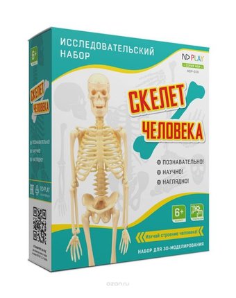 Набор для опытов ND Play Скелет человека