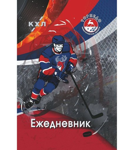 Ежедневник крупная клетка А5 288л Издательство Учитель Торпедо