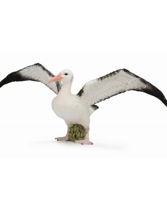 Миниатюра фотографии Фигурка птицы collecta странствующий альбатрос 19 см