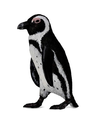Миниатюра фотографии Фигурка collecta южноафриканский пингвин 6 см