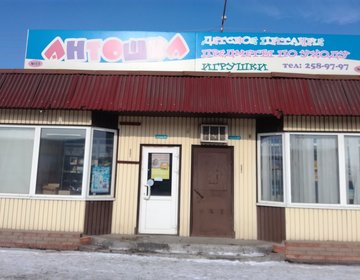 Детский магазин Антошка в Красноярске