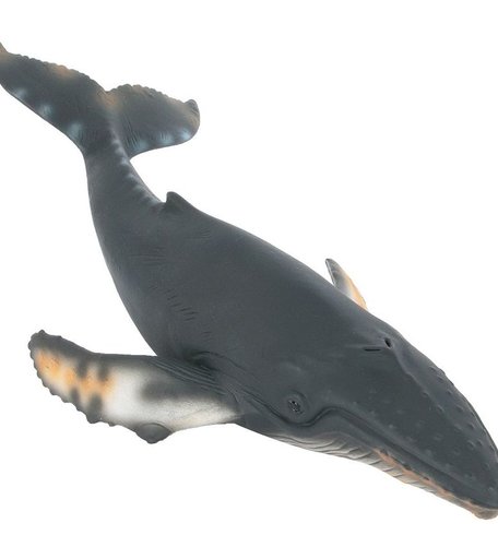 1010815 Collecta Горбатый кит XL