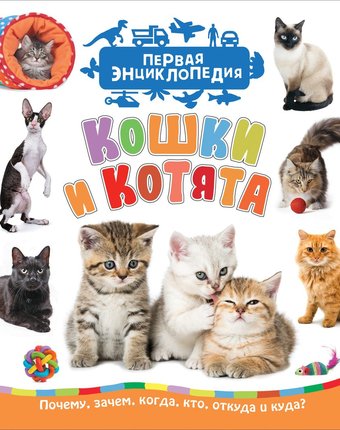 Энциклопедия Росмэн «Кошки и котята. Первая энциклопедия» 3+