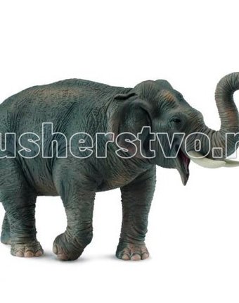 Миниатюра фотографии Collecta фигурка азиатский слон 15 см