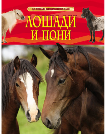Энциклопедия Росмэн «Лошади и пони» 5+