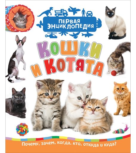 Энциклопедия Росмэн «Кошки и котята. Первая энциклопедия» 3+