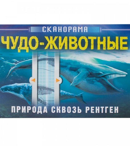 Мозаика kids Книга Чудо-животные. Сканорама. Природа сквозь рентген
