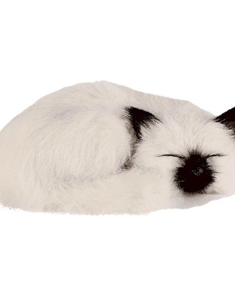 Миниатюра фотографии Мягкая игрушка super01 кошка 21 см цвет: белый