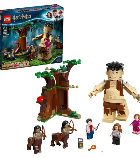Конструктор LEGO 75967 Harry Potter Запретный лес: Грохх и Долорес Амбридж