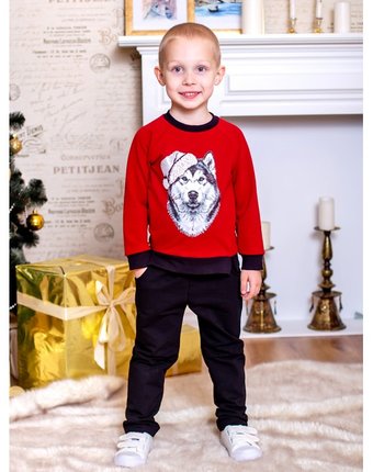 Миниатюра фотографии Дашенька костюм для мальчика волк в шапке (джемпер, брюки)