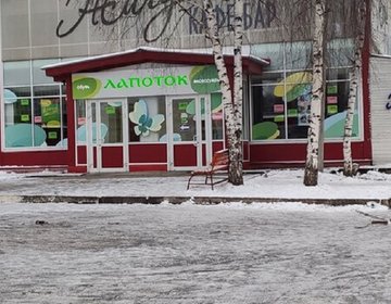 Детский магазин Лапоток в Новочебоксарске