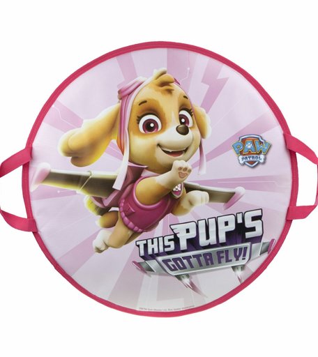 Ледянка Paw Patrol Sky