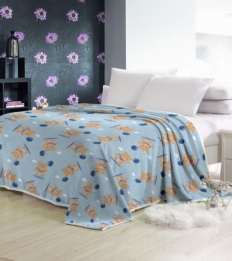 Плед Dream Time Велсофт 1.5 спальный 200х150 BL0431-1
