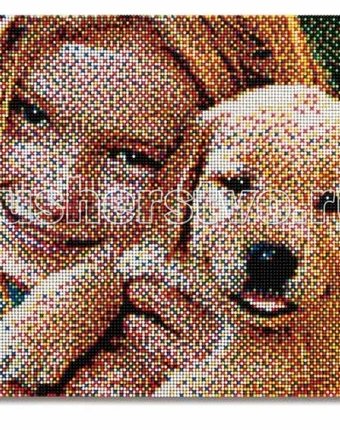 Quercetti Пиксельная мозаика серии Фото Создай свое Фото