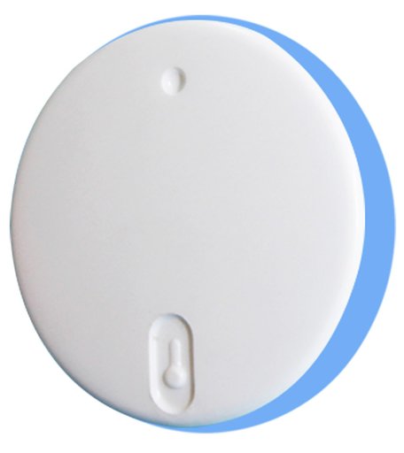 Термометр RELSIB Wx52 Bluetooth термометр