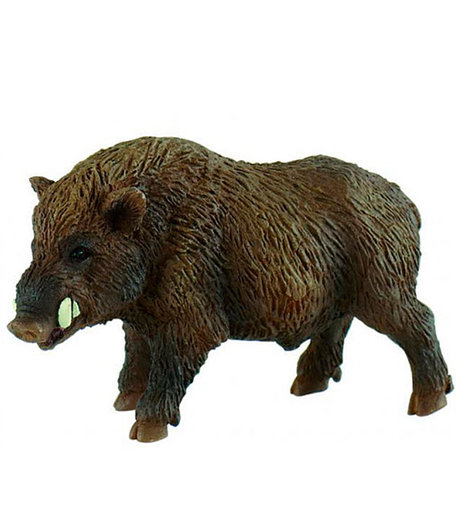 1010815 Collecta Кабан M