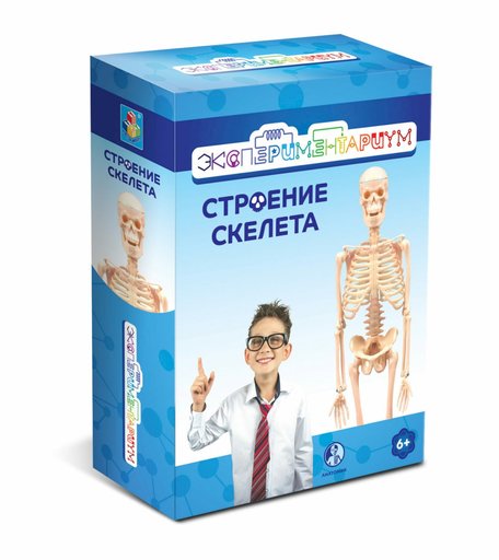 Набор для опытов 1Toy Строение скелета