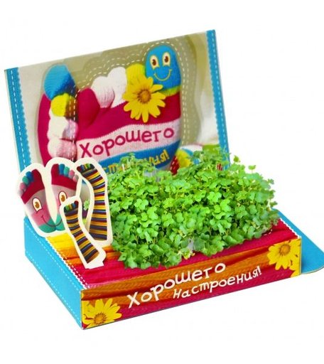 Набор для выращивания Живая открытка Хорошего настроения! Happy Plant