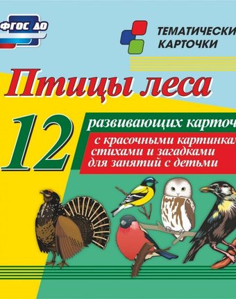 Миниатюра фотографии Плакат издательство учитель птицы леса