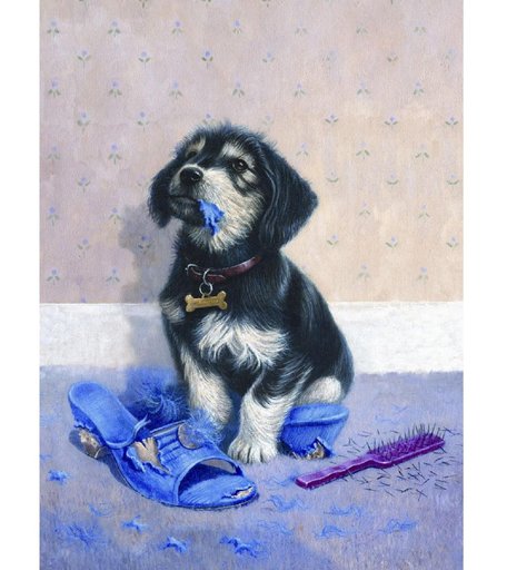 Раскраска по номерам ROYAL LANGNICKEL Шалун PJS62