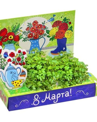 Миниатюра фотографии Набор для выращивания живая открытка букет маков happy plant