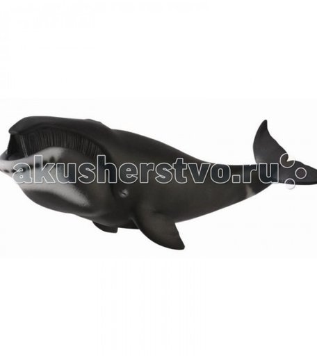 Collecta Гренландский Кит XL