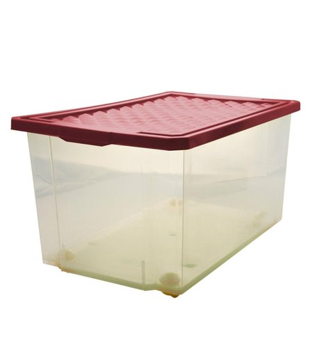 Ящик BranQ для хранения на роликах Optima на роликах,57 л