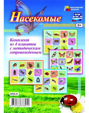 Миниатюра фотографии Набор плакатов издательство учитель насекомые