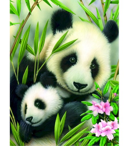 Раскраска по номерам ROYAL LANGNICKEL Панда с малышом PJS39