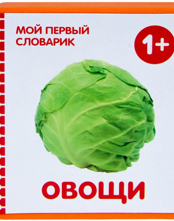 Миниатюра фотографии Книга мозаика kids «мой первый словарик. овощи» 1+