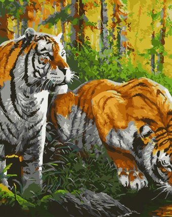 Paintboy Картина по номерам Тигры на водопое