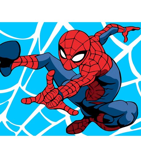 Набор для раскрашивания по номерам ФРЕЯ Паук