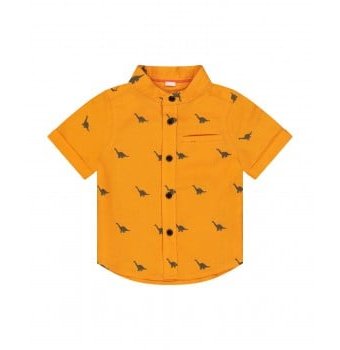 Рубашка "Динозаврик", оранжевый