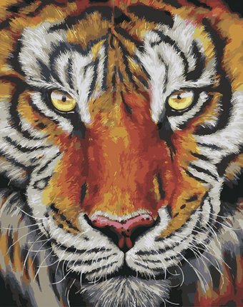 Миниатюра фотографии Color kit картина по номерам на подрамнике тигр 50х40 см