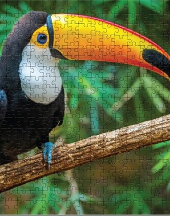 Миниатюра фотографии Dodo пазл птица тукан бразилия (500 элементов)