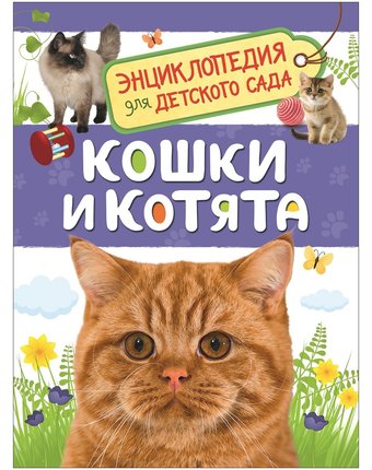 Энциклопедия Росмэн Энциклопедия для детского сада «Кошки и котята» 5+