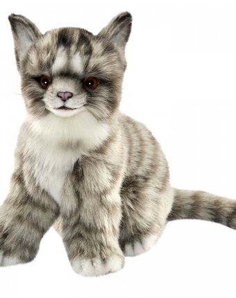 Миниатюра фотографии Мягкая игрушка hansa котенок серый 19 см