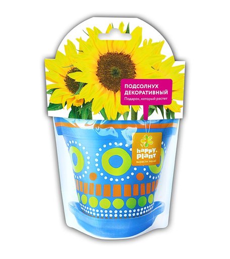 Набор для выращивания Подсолнух декоративный для выращивания Happy Plant