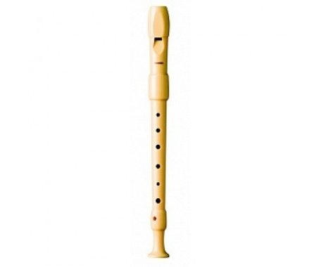Музыкальный инструмент Hohner B9516 немецкая система пластик 2 части