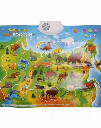 Рыжий кот Звуковой плакат Животный мир России