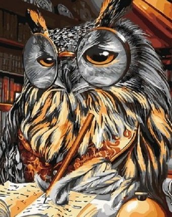 Paintboy Картина по номерам Грамотная сова
