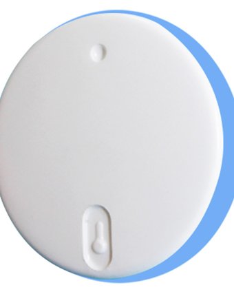 Термометр RELSIB Wx52 Bluetooth термометр