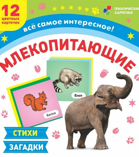 Плакат Издательство Учитель Млекопитающие: 12 развивающих карточек с красочными картинками, стихами и загадками для занятий с детьми