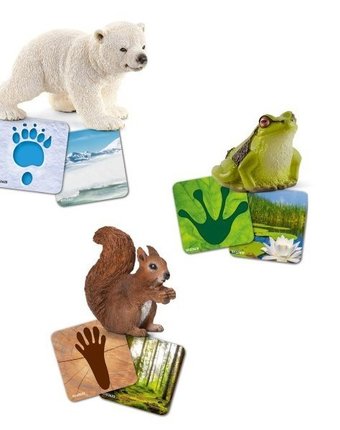 Schleich Набор фигурок с обучающими карточками Мир диких животных