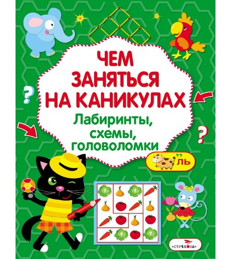 Обучающая книга Стрекоза «Чем заняться на каникулах? Лабиринты, схемы, головоломки. Выпуск 6» 6+