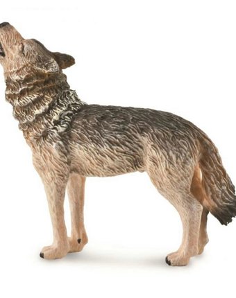 Миниатюра фотографии Фигурка collecta обыкновенный волк воющий м 8 см