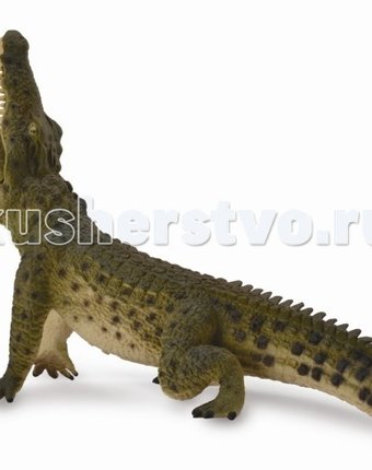 Collecta Фигурка Нильский крокодил 17 см