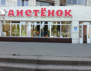 Детский магазин Аистёнок в Воронеже