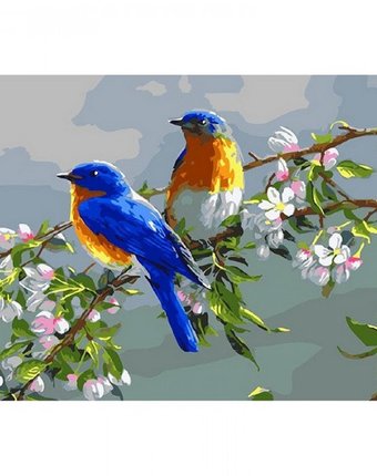 Molly Картина по номерам Весенние птицы 20х30 см